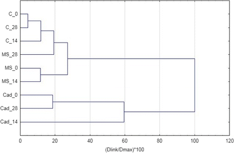 Ecotoxicological Assessment Of Chemical Fumigants Utilising An Earthworm Eisenia Andrei Bioassay And Soil Microbial Communities Springerlink