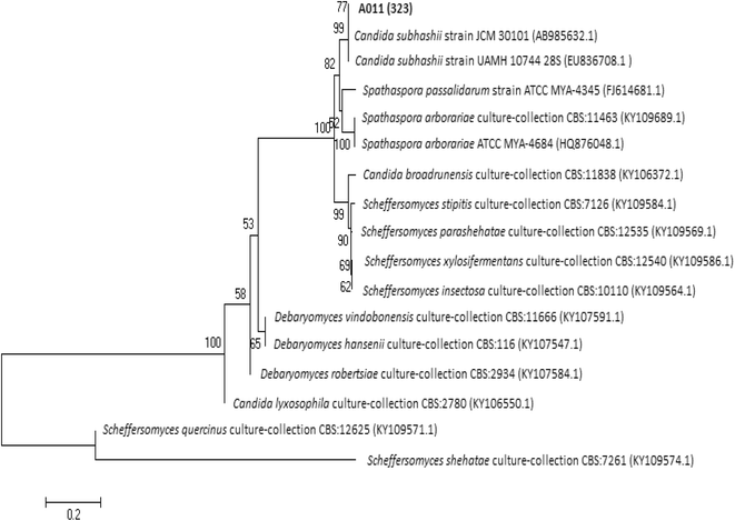 figure 4