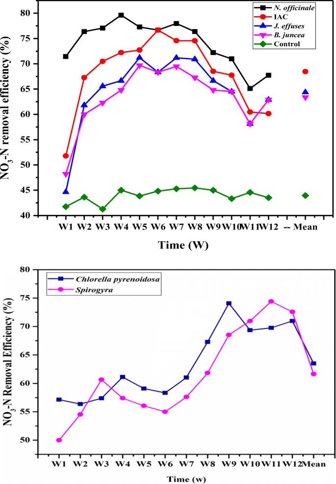 Synergistic Long Term Temperate Climate Nitrogen Removal Performance In Open Raceway Pond And Horizontal Subsurface Flow Constructed Wetland Operated Under Different Regimes Springerlink