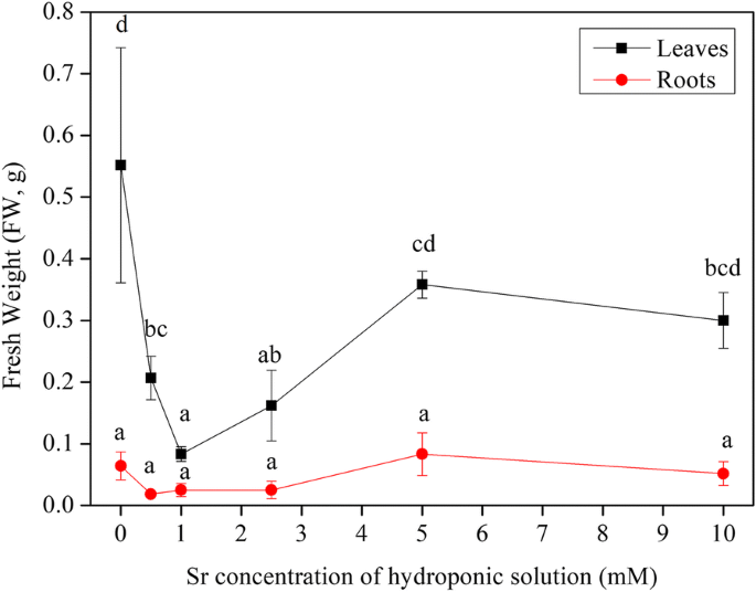 Strontium Uptake And Effects In Hydroponically Cultivated Celery Springerlink