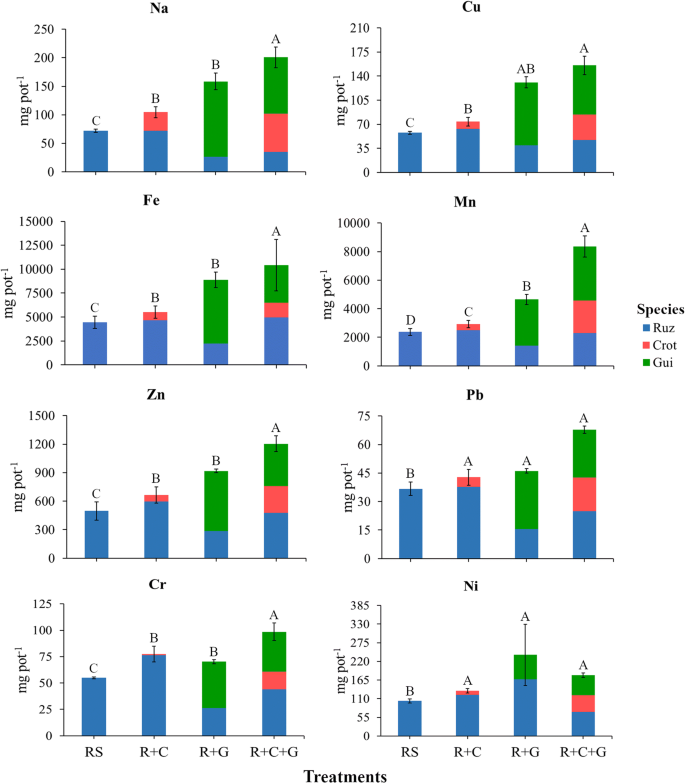 Recovering Soils Affected By Iron Mining Tailing Using Herbaceous Species With Mycorrhizal Inoculation Springerlink