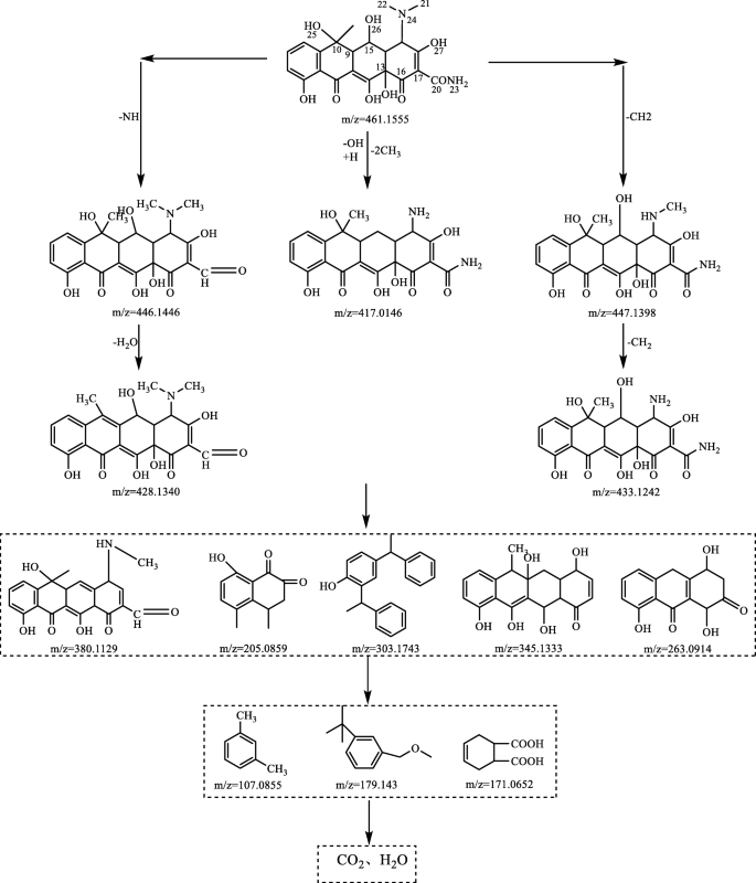Effect Of Aerobic Granular Sludge Concentrations On Adsorption And Biodegradation To Oxytetracycline Springerlink