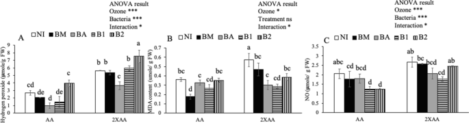 Different Capability Of Native And Non Native Plant Growth Promoting Bacteria To Improve Snap Bean Tolerance To Ozone Springerlink