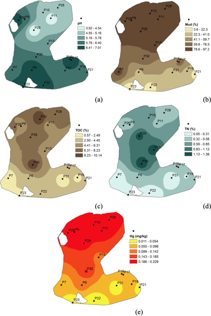 PDF) Health Risk Assessment Attributed to Consumption of Fish Contaminated  with Mercury in the Rio Branco Basin, Roraima, , Brazil