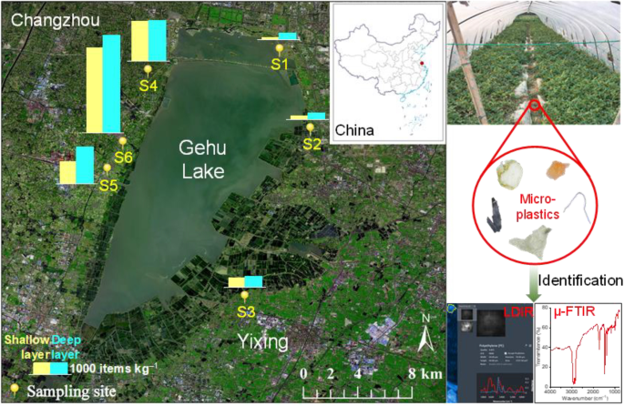 An Overlooked Entry Pathway of Microplastics into Agricultural