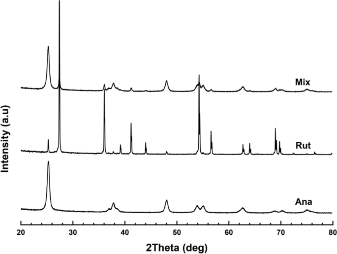 dihexa stability degradation pathways Proposed degradation pathways of the drug under different hydrolytic