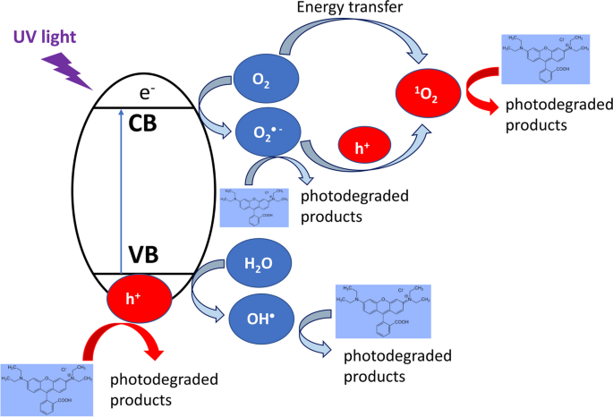 Photodegradation of Rhodamine B in Aqueous Solution Using TiO2 Polymorphs:  EPR Spectroscopy Investigation | Water, Air, & Soil Pollution
