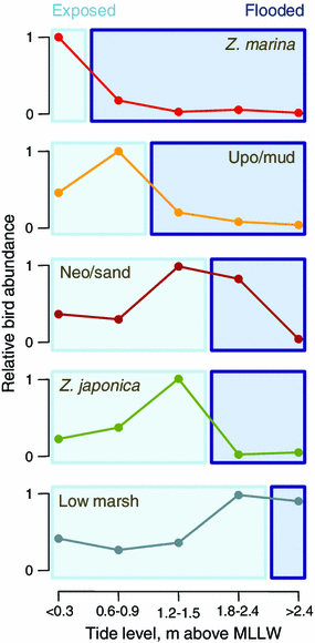 Intertidal Habitat Utilization Patterns Of Birds In A Northeast Pacific Estuary Springerlink