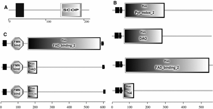 Intestinal Microbiome And Digoxin Inactivation Meal Plan For Digoxin Users Springerlink