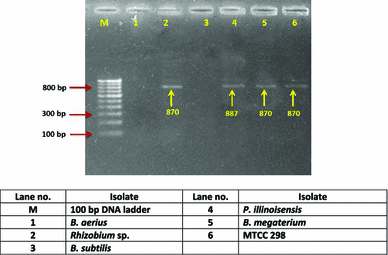 figure 15