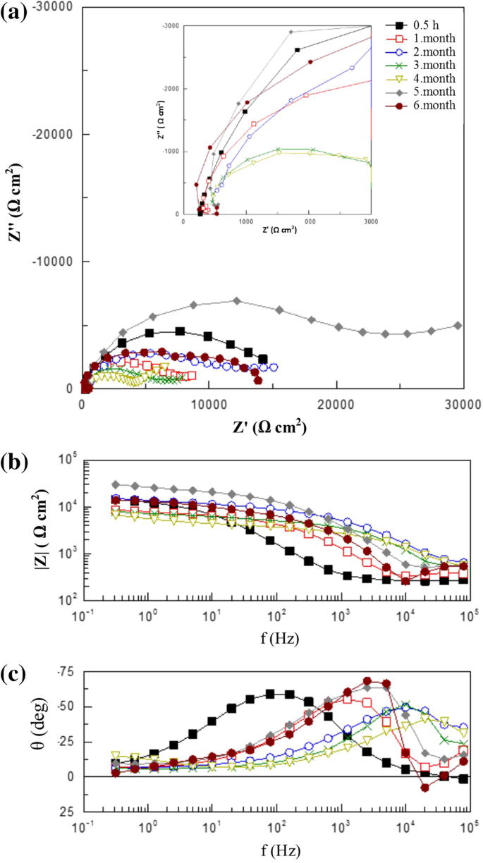 Impact Of Biofilm In The Maturation Process On The Corrosion Behavior Of Galvanized Steel Long Term Evaluation By Eis Springerlink Impact Of Biofilm In The Maturation Process On The Corrosion Behavior Of Galvanized Steel Long Term Evaluation By Eis Springerlink