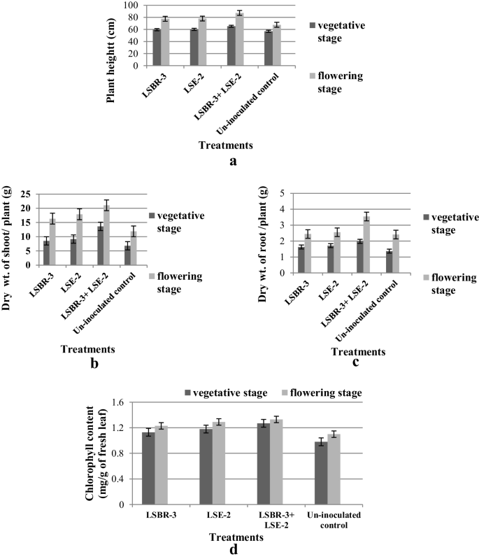 Synergism Of Pseudomonas Aeruginosa Lse 2 Nodule Endophyte With Bradyrhizobium Sp Lsbr 3 For Improving Plant Growth Nutrient Acquisition And Soil Health In Soybean Springerlink