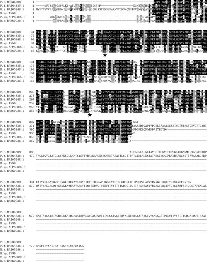 Biochemical Characterization Of A Novel Bifunctional Chitosanase From Paenibacillus Barengoltzii For Chitooligosaccharide Production Springerlink