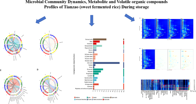 Microbial dynamics, metabolite and volatile organic compounds profiles ...