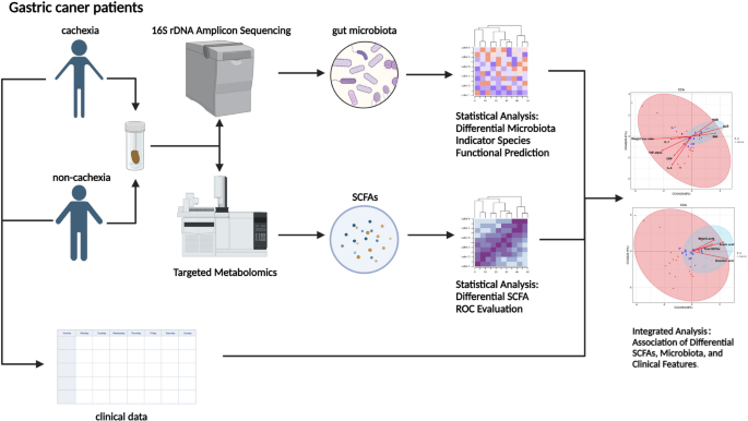 Multi-omics integration reveals gut Microbiome and Short-chain fatty ...
