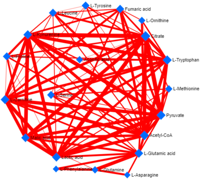 Metabolic adaptations of yeast cells to epigenetic modifiers: a comparative  analysis of free amino acid profiles and key metabolites | World Journal of  Microbiology and Biotechnology