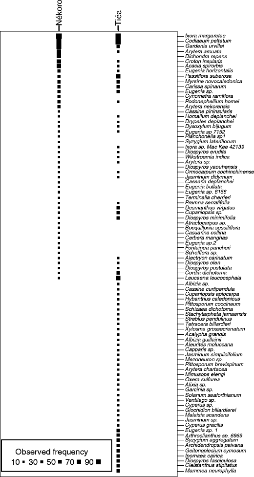 List of studied species of Hybanthus with the details of provenance