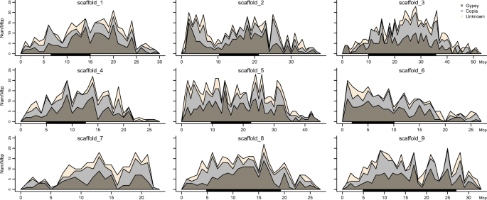 Ltr Retrotransposons From The Citrus X Clementina Genome Characterization And Application Springerlink