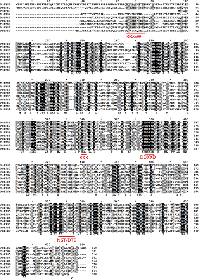 Cloning And Characterization Of Terpene Synthase Genes From Taiwan Cherry Springerlink