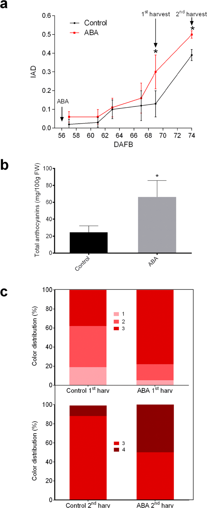 Aba Influences Color Initiation Timing In P Avium L Fruits By Sequentially Modulating The Transcript Levels Of Aba And Anthocyanin Related Genes Springerlink