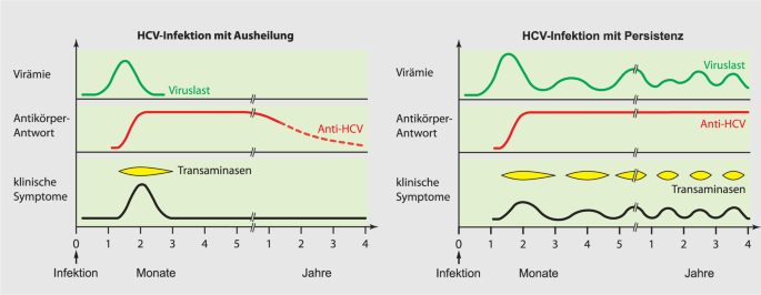 Diagnostik Und Therapie Von Virushepatitiden Springerlink Diagnostik Und Therapie Von Virushepatitiden Springerlink