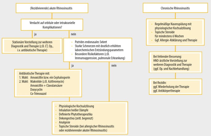 Besserung azithromycin wann azithromycin for