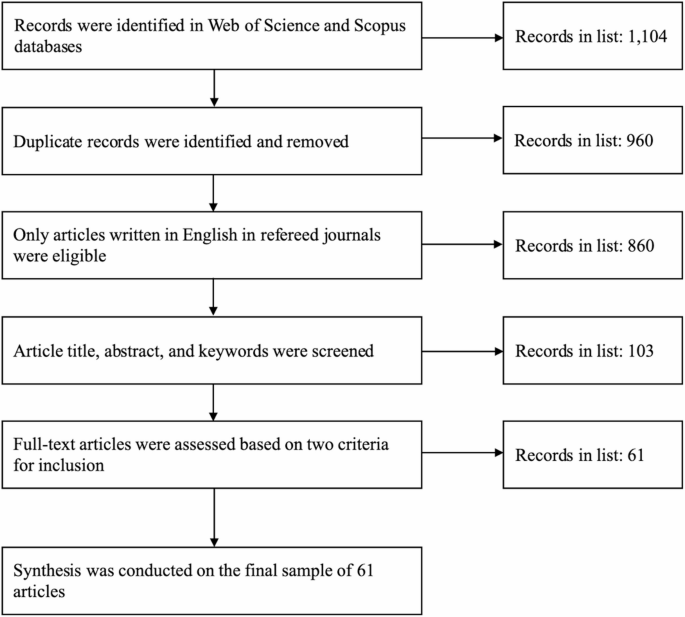 Identity leadership: a systematic literature review and critical ...