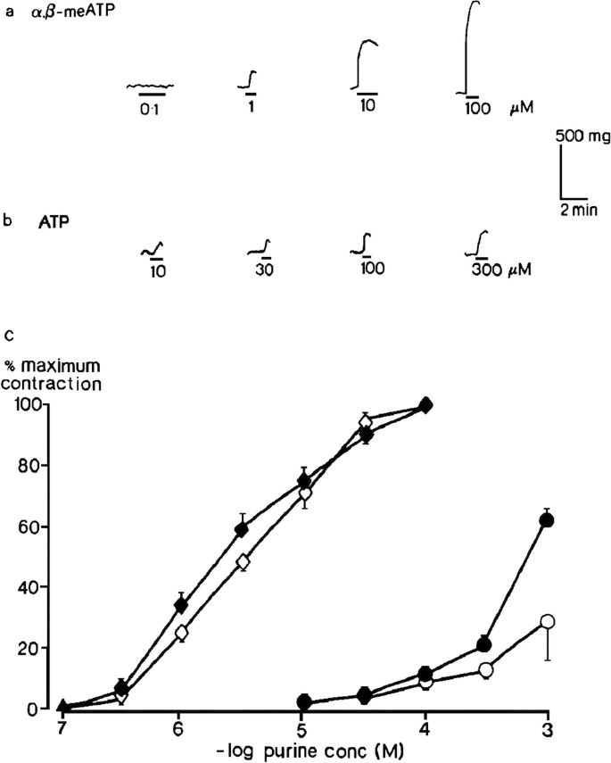 That Was Then This Is Now The Development Of Our Knowledge And Understanding Of P2 Receptor Subtypes Springerlink