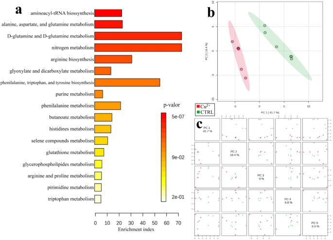 Metabolomic analysis to study the effect of foliar copper ...