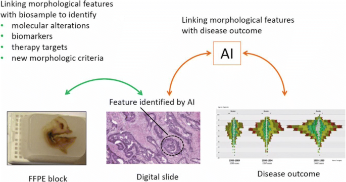 Advancing Biomarker Development Through Convergent Engagement Summary Report Of The 2nd International Danube Symposium On Biomarker Development Molecular Imaging And Applied Diagnostics March 14 16 2018 Vienna Austria Springerlink