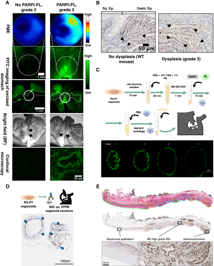 2023 World Molecular Imaging Congress Program | Molecular Imaging 