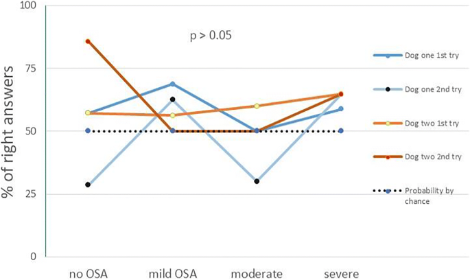 A Detection Dog For Obstructive Sleep Apnea Could It Work In Diagnostics Springerlink