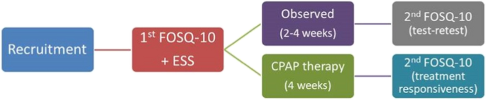 research conclusion validity figure 1