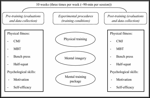 Effects Of Cognitive Training Strategies On Muscular Force And Psychological Skills In Healthy Striking Combat Sports Practitioners Springerlink