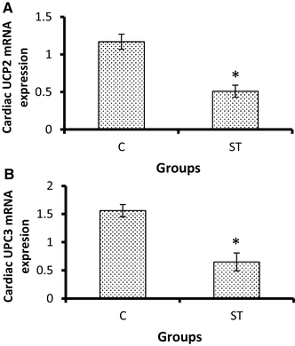 Long-term effects of sprint interval training on expression of ...