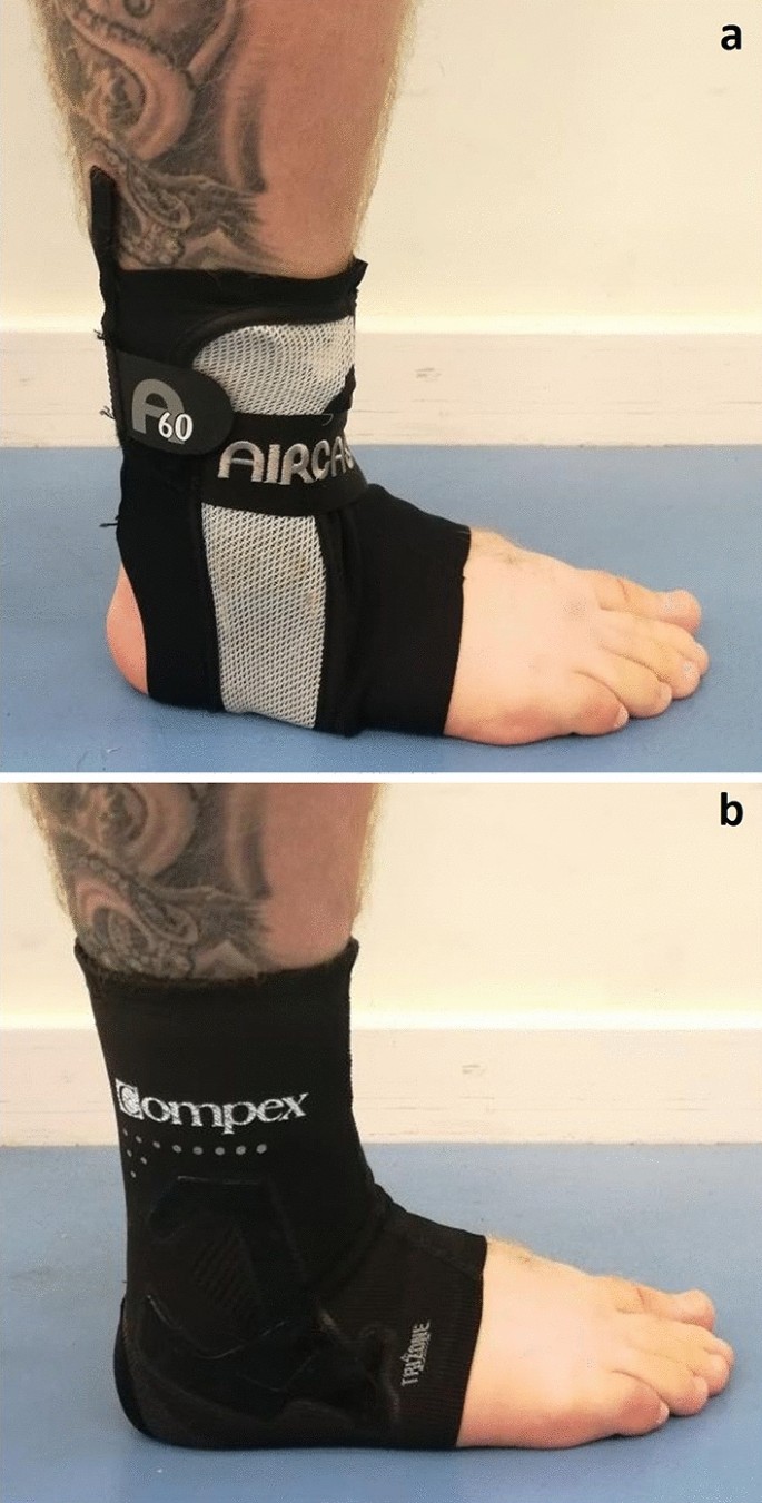 A four-experiment examination of ankle kinetics, kinematics and lateral  ligament strains during different conditions: an examination using  musculoskeletal simulation | SpringerLink