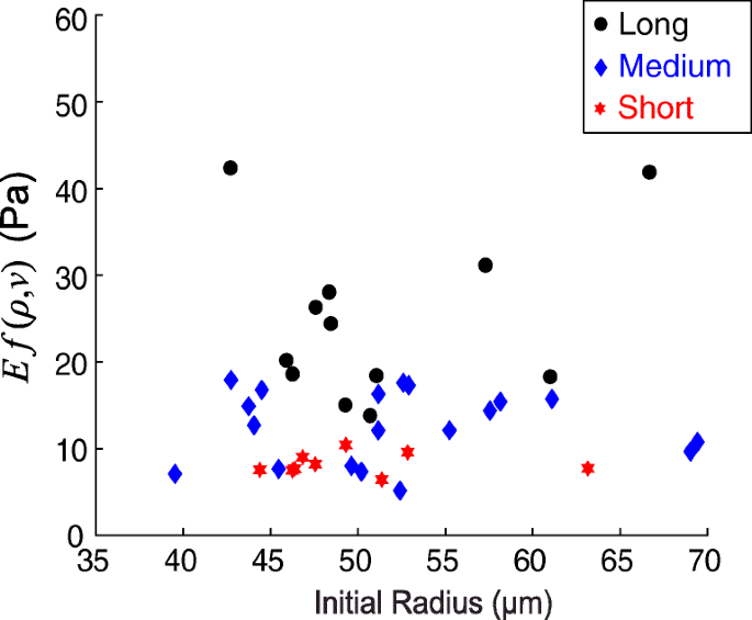 Modulus Of Fibrous Collagen At The Length Scale Of A Cell Springerlink