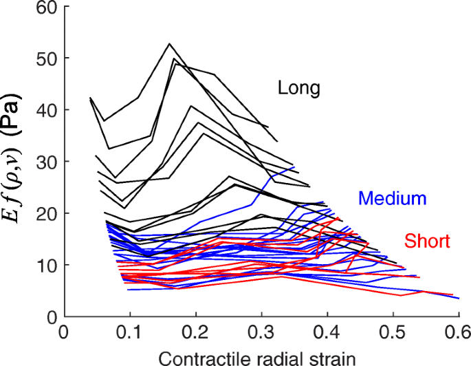 Modulus Of Fibrous Collagen At The Length Scale Of A Cell Springerlink