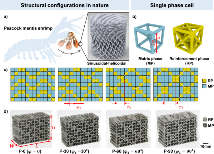 Dynamic Mechanical Behavior of Sinusoidal Corrugated Dual-Phase Lattice ...