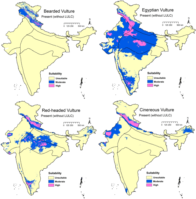 Full article: A fragile future for pink birds: habitat suitability models  predict a high impact of climate change on the future distribution of  flamingos