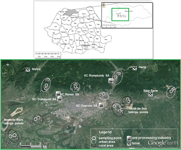 Heavy Metal Content In Vegetables And Fruits Cultivated In Baia Mare Mining Area Romania And Health Risk Assessment Springerlink