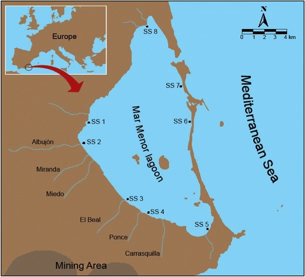 graphic_overview