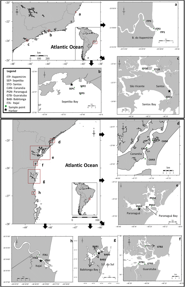 Distribution Of Butyltin Compounds In Brazil S Southern And Southeastern Estuarine Ecosystems Assessment Of Spatial Scale And Compartments Springerlink