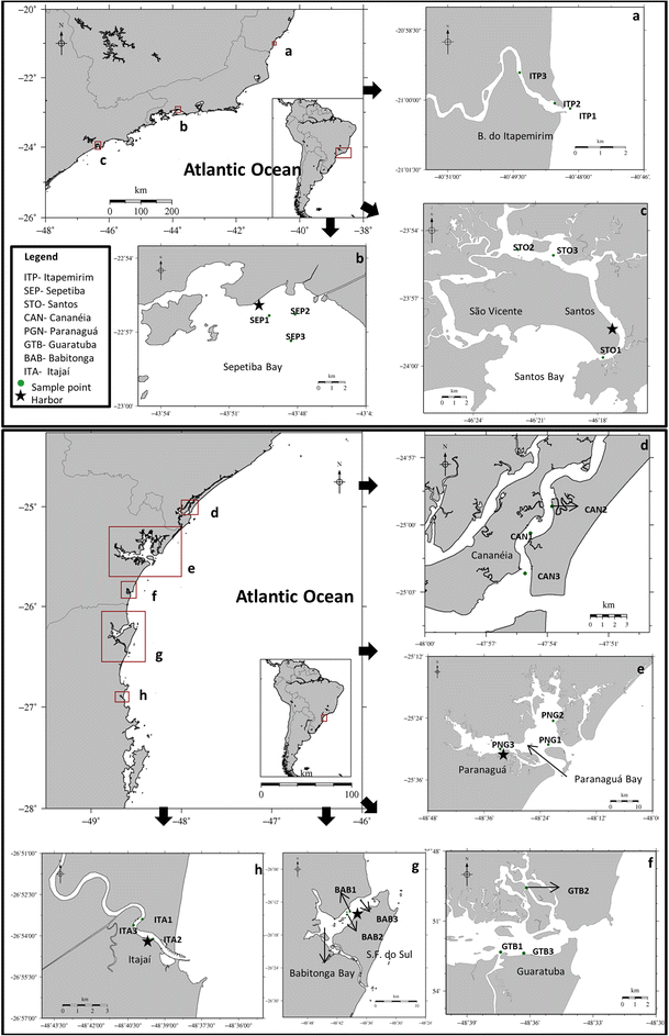 Distribution of butyltin compounds in Brazil's southern and southeastern  estuarine ecosystems: assessment of spatial scale and compartments |  SpringerLink
