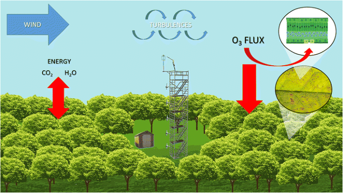 Ozone flux in plant ecosystems: new opportunities for long-term monitoring  networks to deliver ozone-risk assessments | SpringerLink