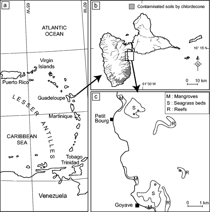 Contamination Of Marine Fauna By Chlordecone In Guadeloupe Evidence Of A Seaward Decreasing Gradient Springerlink
