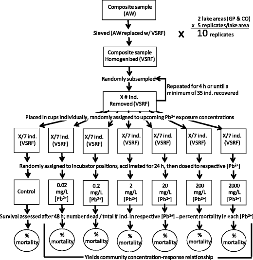Pollution Induced Community Tolerance In Benthic Macroinvertebrates Of A Mildly Lead Contaminated Lake Springerlink