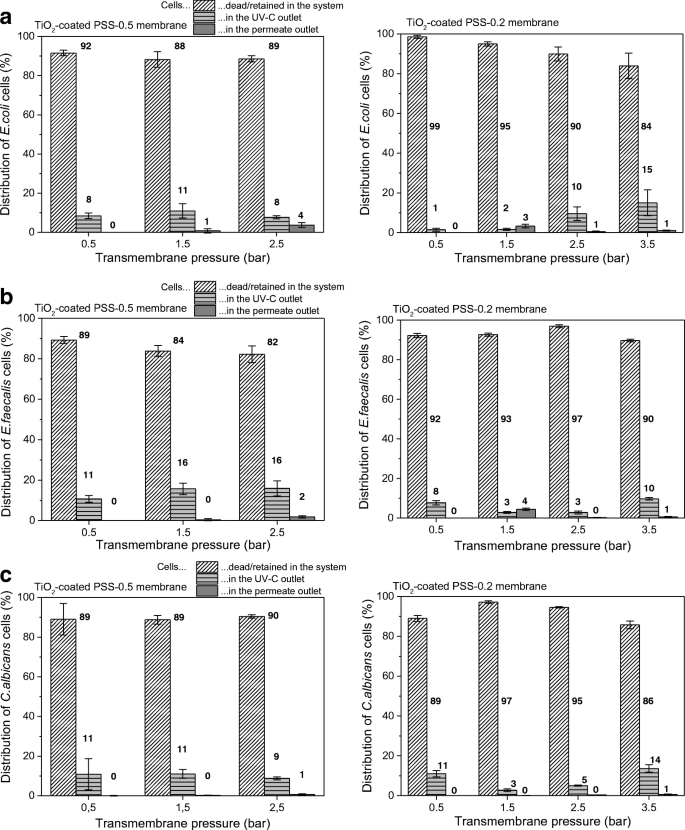 Hybrid Uv C Microfiltration Process In Membrane Photoreactor For Wastewater Disinfection Springerlink Hybrid Uv C Microfiltration Process In Membrane Photoreactor For Wastewater Disinfection Springerlink