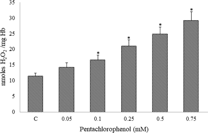 Pentachlorophenol Induced Cytotoxicity In Human Erythrocytes Enhanced Generation Of Ros And Rns Lowered Antioxidant Power Inhibition Of Glucose Metabolism And Morphological Changes Springerlink
