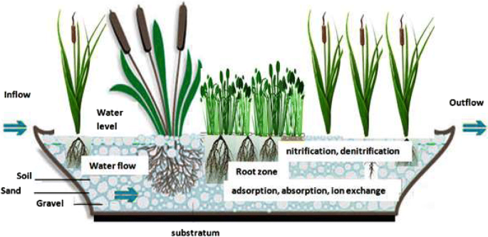 Diagram of a constructed wetland system.